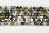 CAA5330 15.5 inches 6mm round ocean agate beads wholesale