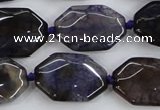 CAA595 15.5 inches 18*25mm faceted octagonal dragon veins agate beads