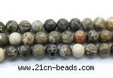 CAA6105 15.5 inches 14mm round chrysanthemum agate gemstone beads