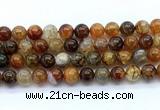 CAA6113 15.5 inches 10mm round dragon vein agate gemstone beads