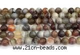 CAA6139 15 inches 8mm round Botswana agate beads wholesale