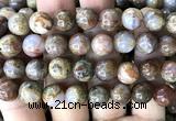 CAA6269 15 inches 12mm round fire agate gemstone beads