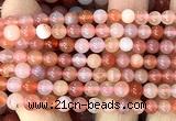 CAA6271 15 inches 6mm round south red agate beads wholesale