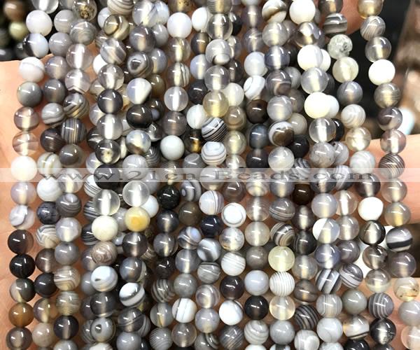 CAA6300 15 inches 4mm round Botswana agate gemstone beads