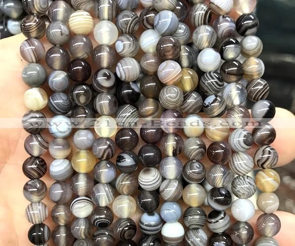 CAA6301 15 inches 6mm round Botswana agate gemstone beads