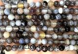 CAA6301 15 inches 6mm round Botswana agate gemstone beads