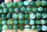 CAA6394 15 inches 12mm round green banded agate beads wholesale