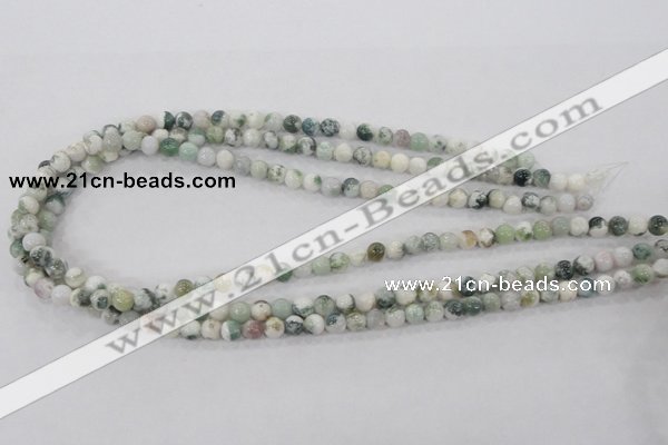 CAA700 15.5 inches 6mm round tree agate gemstone beads wholesale