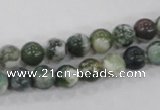 CAA701 15.5 inches 8mm round tree agate gemstone beads wholesale