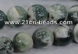 CAA704 15.5 inches 14mm round tree agate gemstone beads wholesale