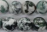 CAA705 15.5 inches 16mm round tree agate gemstone beads wholesale