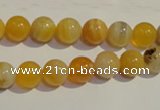 CAA89 15.5 inches 10mm round botswana agate gemstone beads