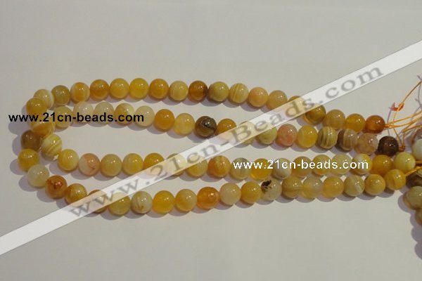 CAA89 15.5 inches 10mm round botswana agate gemstone beads