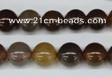 CAA892 15.5 inches 12mm round agate gemstone beads wholesale