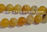 CAA90 15.5 inches 12mm round botswana agate gemstone beads