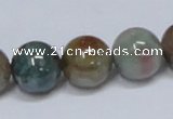 CAB435 15.5 inches 14mm round indian agate gemstone beads wholesale