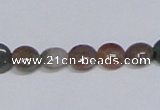 CAB448 15.5 inches 8mm flat round indian agate gemstone beads