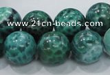 CAB54 15.5 inches 16mm round peafowl agate gemstone beads wholesale