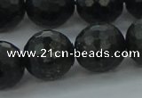 CAE40 15.5 inches 16mm faceted round astrophyllite beads wholesale