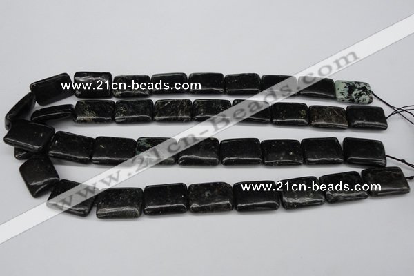 CAE92 15.5 inches 15*20mm rectangle astrophyllite beads wholesale