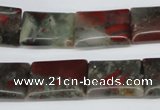 CAF01 15.5 inches 13*18mm rectangle African bloodstone beads