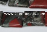 CAF02 15.5 inches 18*25mm rectangle African bloodstone beads