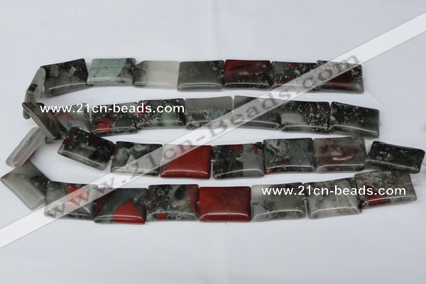 CAF02 15.5 inches 18*25mm rectangle African bloodstone beads