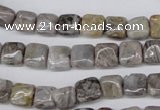 CAG1439 15.5 inches 8*8mm square bamboo leaf agate beads