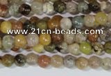 CAG1700 15.5 inches 4mm round rainbow agate beads wholesale