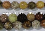 CAG1713 15.5 inches 10mm faceted round rainbow agate beads