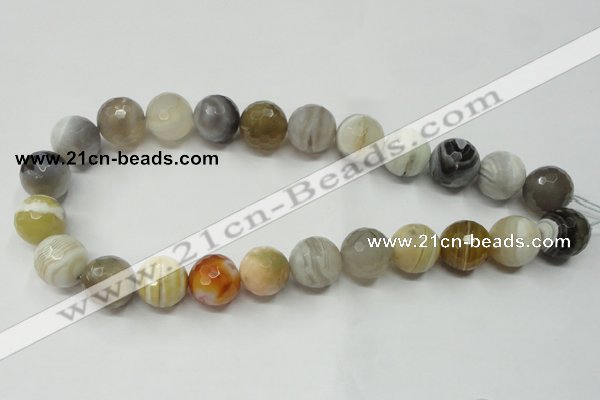 CAG1815 15.5 inches 14mm faceted round Chinese botswana agate beads