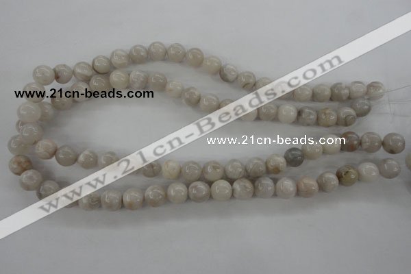 CAG1897 15.5 inches 10mm round grey agate beads wholesale