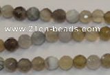 CAG2421 15.5 inches 6mm faceted round Chinese botswana agate beads