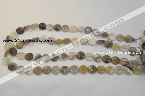 CAG2435 15.5 inches 12mm flat round Chinese botswana agate beads