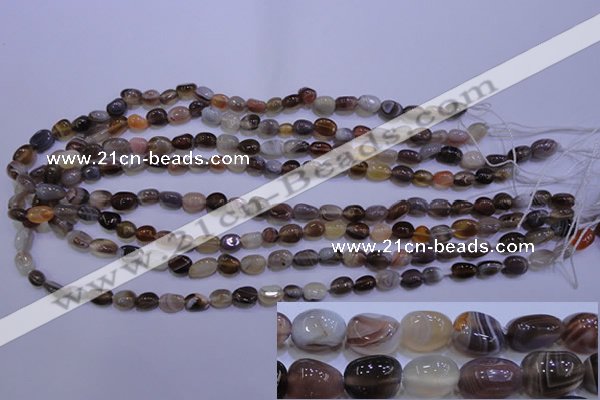 CAG2770 15.5 inches 6*8mm nuggets botswana agate beads wholesale