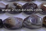 CAG2775 15.5 inches 14*20mm faceted nuggets botswana agate beads wholesale