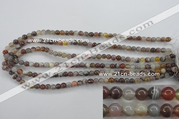 CAG3681 15.5 inches 6mm round botswana agate beads wholesale