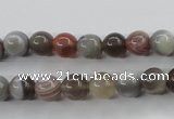 CAG3682 15.5 inches 8mm round botswana agate beads wholesale