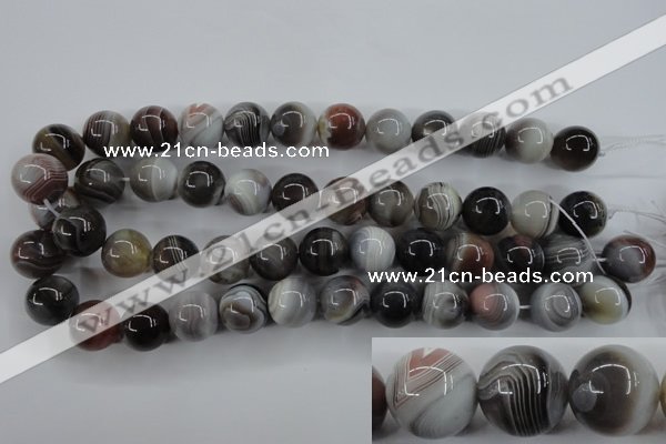 CAG3686 15.5 inches 16mm round botswana agate beads wholesale