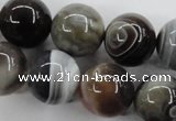 CAG3687 15.5 inches 18mm round botswana agate beads wholesale