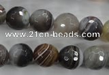 CAG3694 15.5 inches 12mm faceted round botswana agate beads wholesale