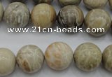 CAG3885 15.5 inches 14mm round chrysanthemum agate beads