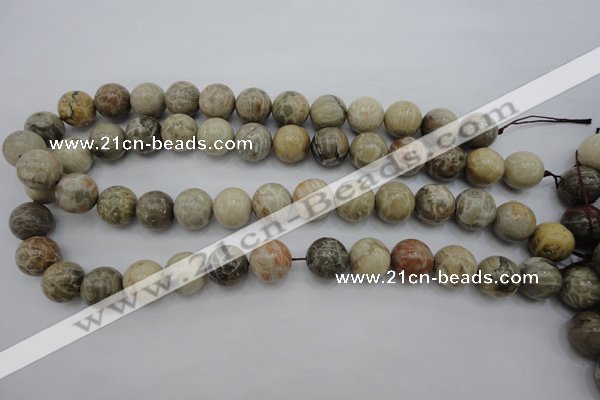 CAG3885 15.5 inches 14mm round chrysanthemum agate beads