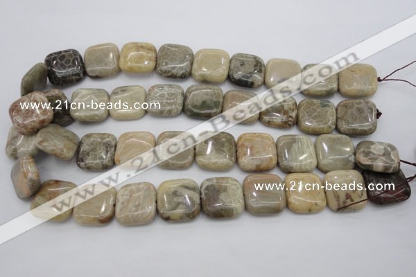 CAG3898 15.5 inches 20*20mm square chrysanthemum agate beads