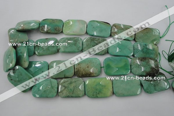 CAG3938 15.5 inches 22*30mm faceted rectangle green grass agate beads