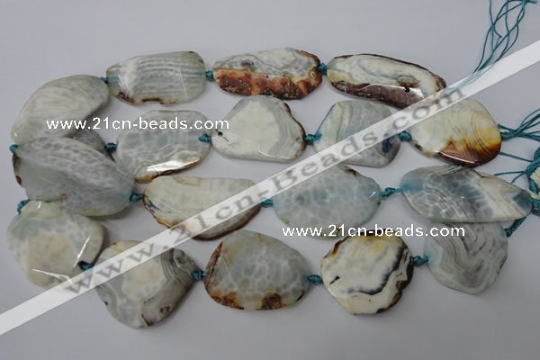 CAG5536 15.5 inches 25*30mm - 25*48mm freeform agate gemstone beads