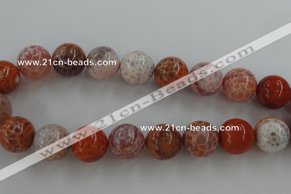 CAG5568 15.5 inches 20mm round natural fire agate beads wholesale