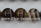 CAG5905 15 inches 16mm round Madagascar agate gemstone beads