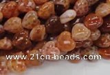 CAG627 15.5 inches 8*8mm heart natural fire agate beads wholesale