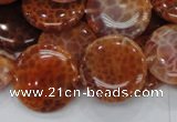 CAG632 15.5 inches 20mm coin natural fire agate beads wholesale